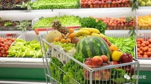 食用農(nóng)產(chǎn)品價(jià)格持續(xù)回落，生產(chǎn)資料價(jià)格小幅下降