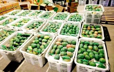 “互聯網+農業”助推攀枝花西區優質農產品走向全國