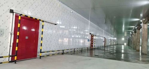 專業保鮮，智造未來——佛山食品保鮮冷庫工程廠家，為食品廠與農產品提供全方位儲存方案