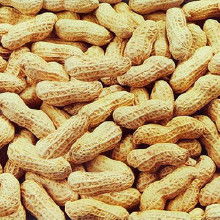 庫存農產品 從源頭到市場，一站式采購指南