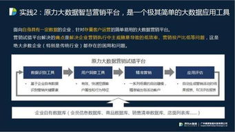 精準賦能，價值引領 原力大數據榮獲2017中國國際大數據大會精準營銷最佳解決方案獎